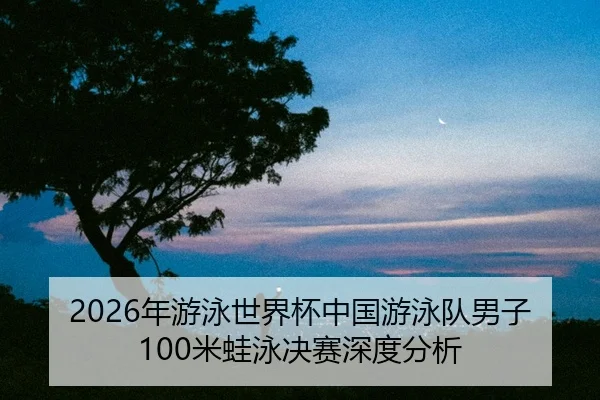 nian-you-yong-shi-jie-bei-zhong-guo-you-yong-dui-nan-zi-mi-wa-yong-jue-sai-shen-du-fen-xi-2-589.jpg