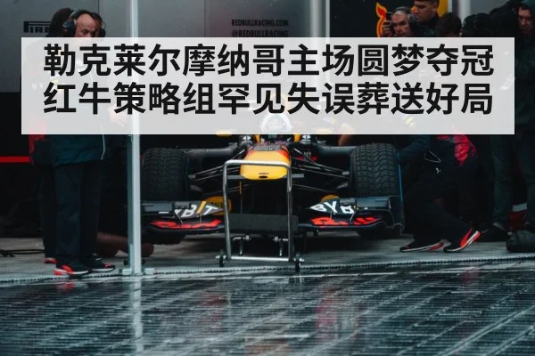 Red Bull pit stop mistake